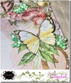 FRAMED-20210717_181554