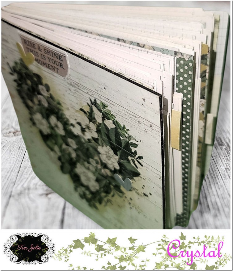 FRAMED-CopticJournal-Jan22CT&M-02