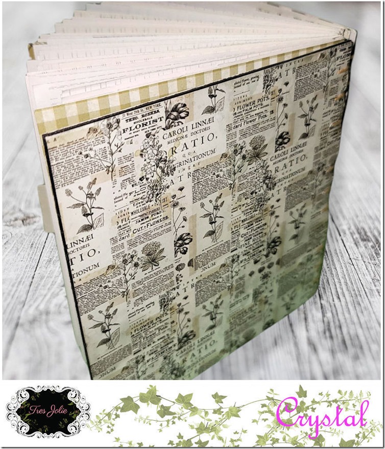 FRAMED-CopticJournal-Jan22CT&M-12