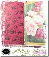 Feb2022-Mdbrd-CarmenJJ-05