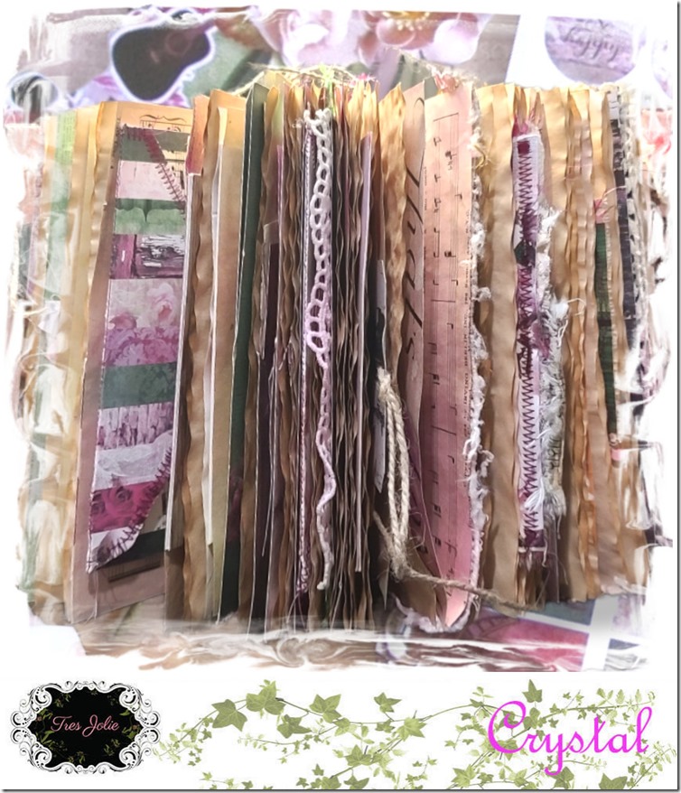 Feb2022-Mdbrd-CarmenJJ-15