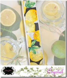 Jul22-sb moodboard-lapbook-07