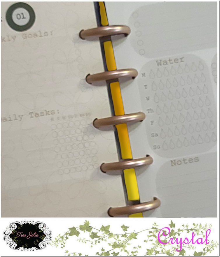 Aug22-CTM-miniPlanner-17