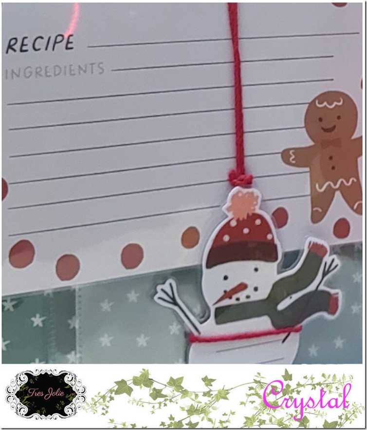 RecipeBook-Nov22-sneak