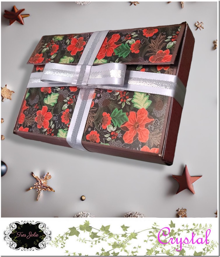 dec22-ctm-miniAlbum-10