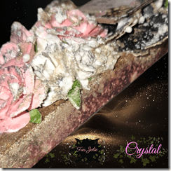 PhotoRoom-20230815_141118_10