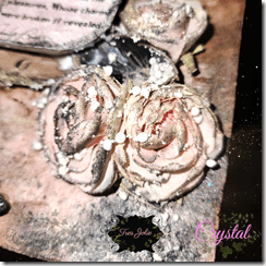 PhotoRoom-20230815_141118_17