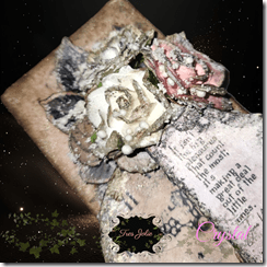 PhotoRoom-20230815_141118_9