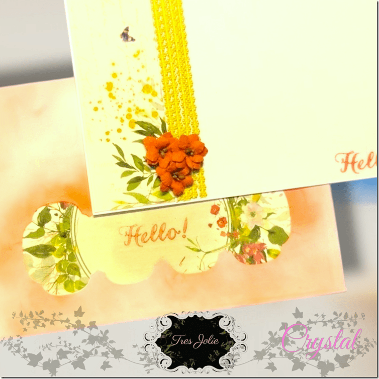 PhotoRoom-20230823_164131_3